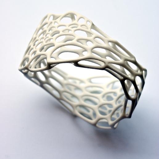 Nervous System - Cell Cycle - pinch bracelet_1251127990418