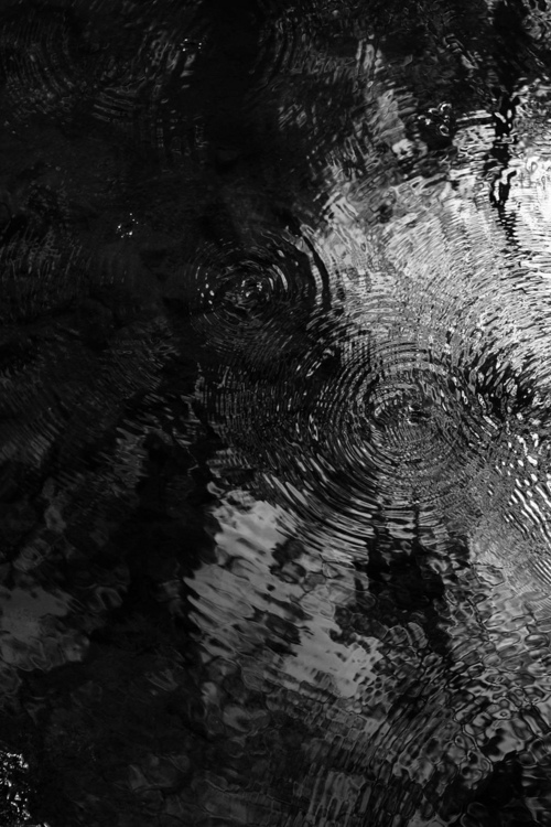 greyfaced tumblr_m3auv6alxW1qc43fxo1_500