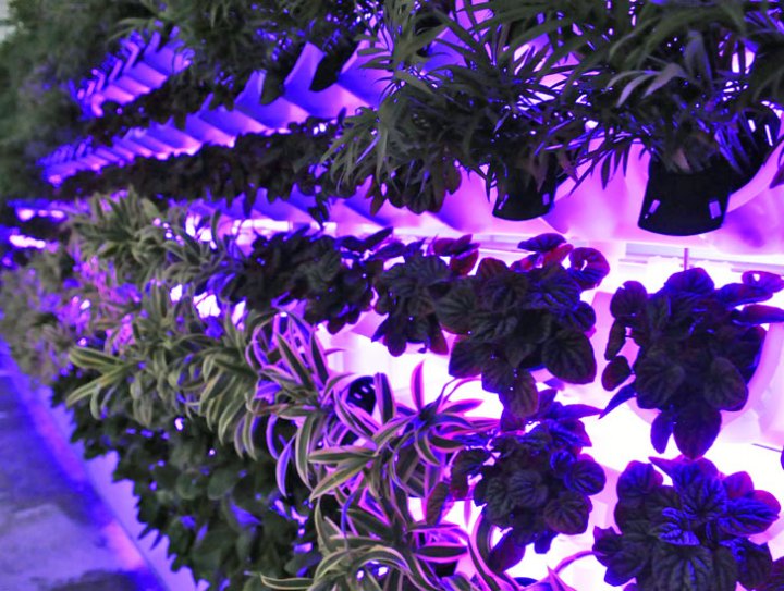 verti-cult-recycled-green-wall-miniwiz-2