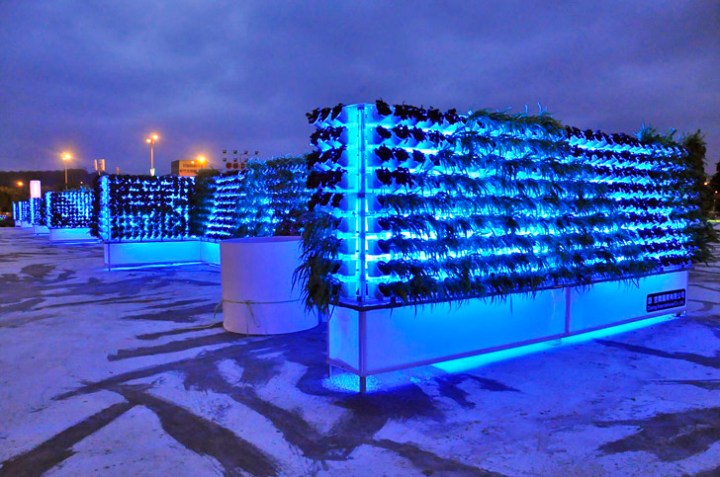 verti-cult-recycled-green-wall-miniwiz