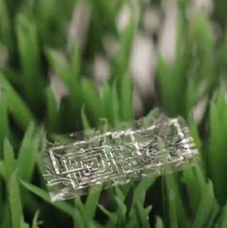 john rogers ___dissolving electronics