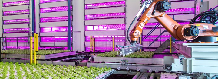 philips cityfarm-header-960x350px