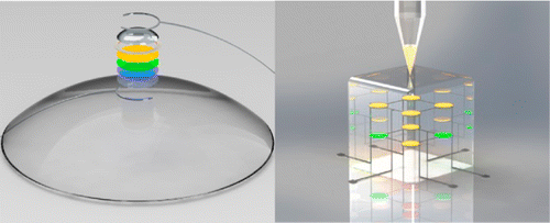 princetone alpine research group nl-2014-033292_0007