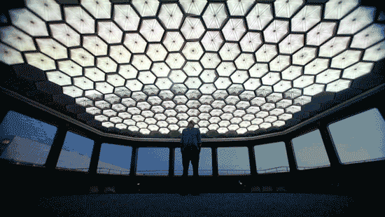 tundra whale 6a1cedfa294d7ef10cad9c3bd9f1466f