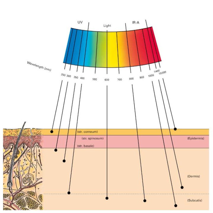 optical penetration of light into skin