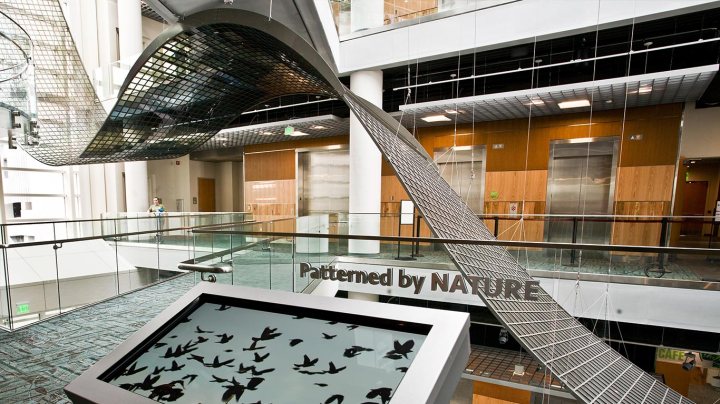 soso patterned-by-nature-02