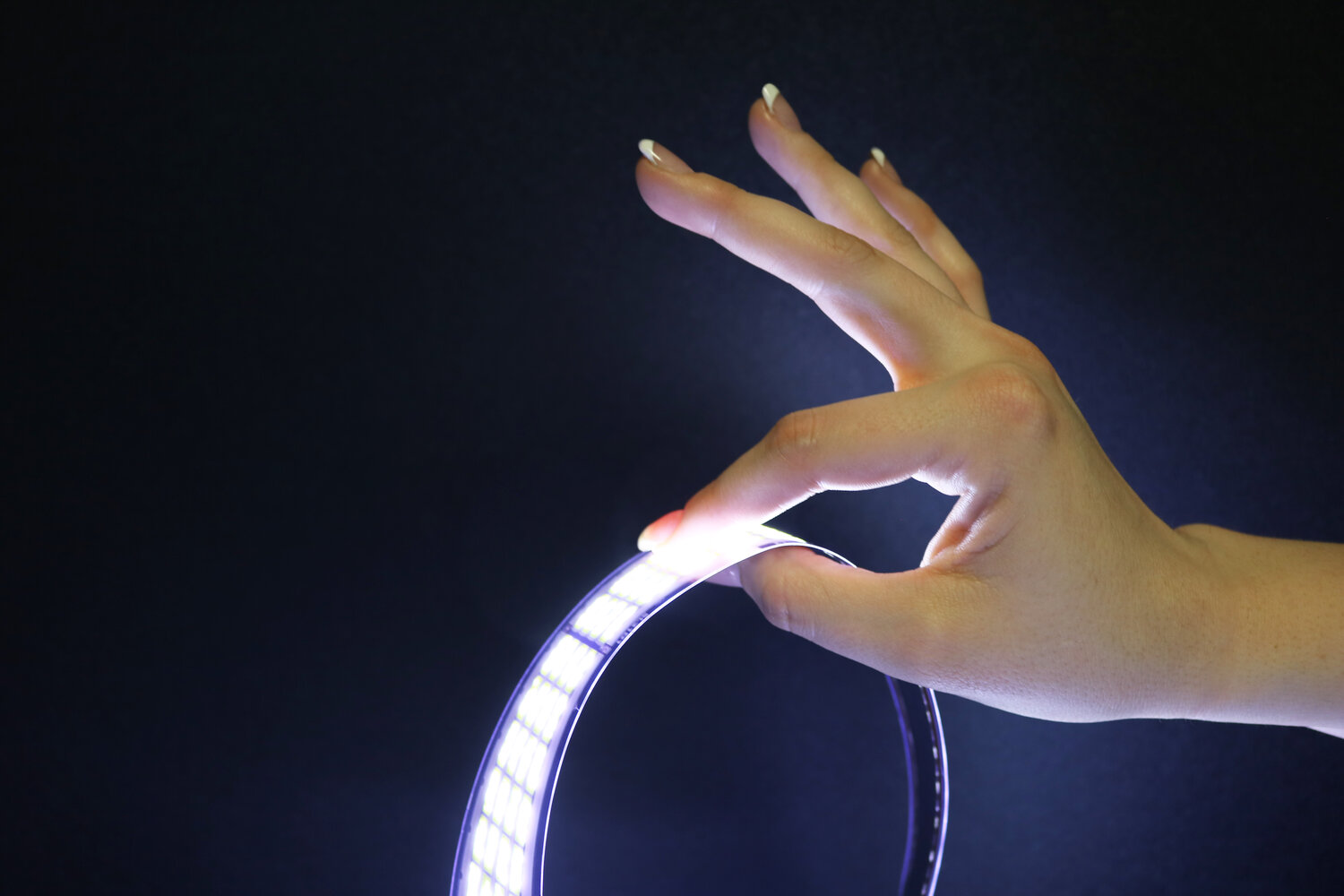 Dr. William J. Ray, Founder & Head Scientist at NthDegree Receives Prestigious Robert F. Reed Technology Medal